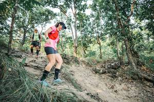 BIB: 
                            <button type="button" onclick="openModal(25976803)" class="btn btn-primary btn-sm float-right btn-popup" data-toggle="modal" data-target=".modal-high-quality">
                        <i class="fas fa-shopping-cart"></i> Add to Cart
                    </button>
                                            <button type="button" onclick="isThisMe(25976803, true)" class="btn btn-success btn-sm float-right btn-popup btn-isme hidden" data-toggle="tooltip" data-placement="bottom" title="นี่คือรูปของคุณใช่ไหม คลิกที่นี่เพื่อเอาเข้าอัลบั้ม">
                        <i class="fas fa-plus"></i> Add to album
                    </button>
                    <button type="button" onclick="isThisMe(25976803, false)" class="btn btn-warning btn-sm float-right btn-popup btn-isnotme hidden">
                        <i class="fas fa-ban"></i> Remove from album
                    </button>